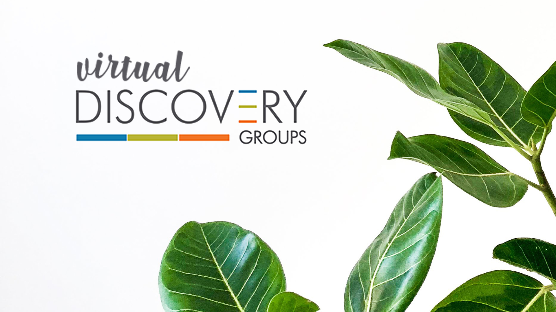 Virtual Discovery Groups