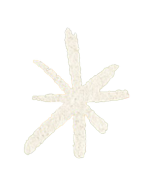 Image is not available