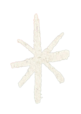 Image is not available