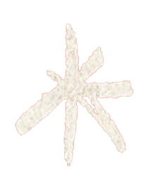 Image is not available